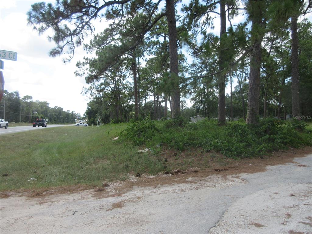 A grassy, wooded lot sits adjacent to a paved road with passing vehicles — 787 SE 162ND TERRACE, SILVER SPRINGS, FL