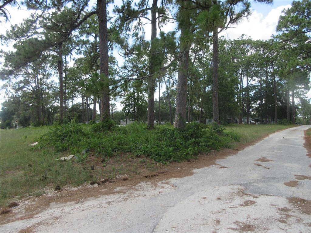 A dirt road leads past a grassy, tree-covered lot with scattered brush — 787 SE 162ND TERRACE, SILVER SPRINGS, FL