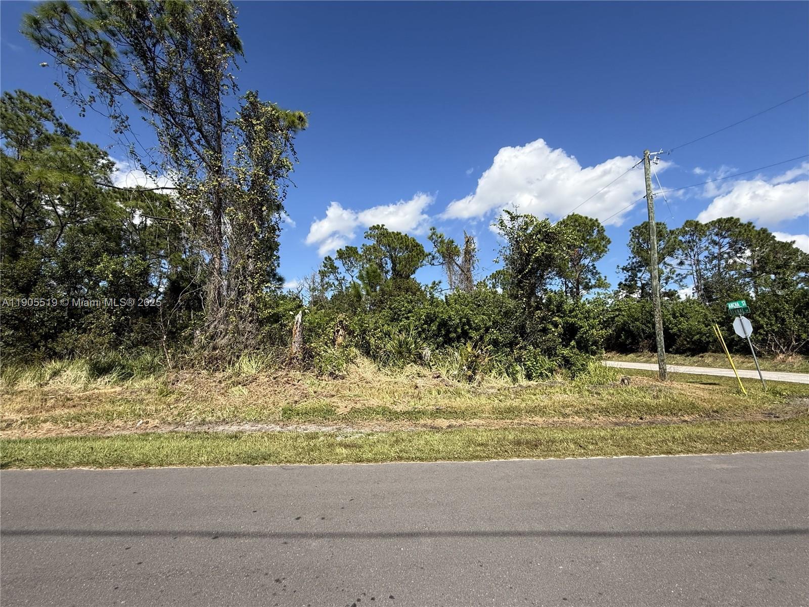 A vacant, wooded lot sits along a paved road with a street sign and utility pole — 7538 Bernal Drive, Sebring FL 33872, SEBRING, FL