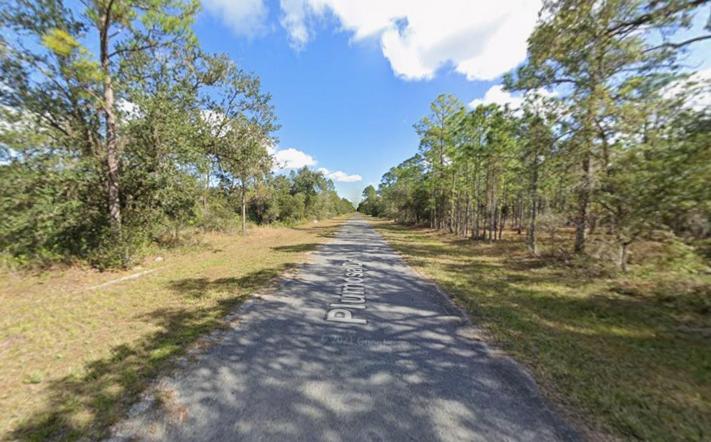 A narrow paved road stretches through a wooded area with pine trees under a blue sky — Tbd Plumosa Drive, FL 33855, FL
