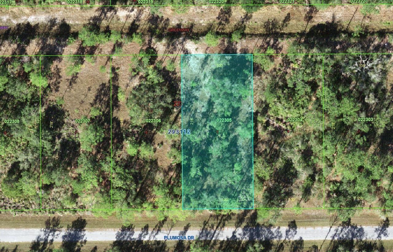 This is an aerial map showing a rectangular, wooded residential lot highlighted in light blue — Tbd Plumosa Drive, FL 33855, FL