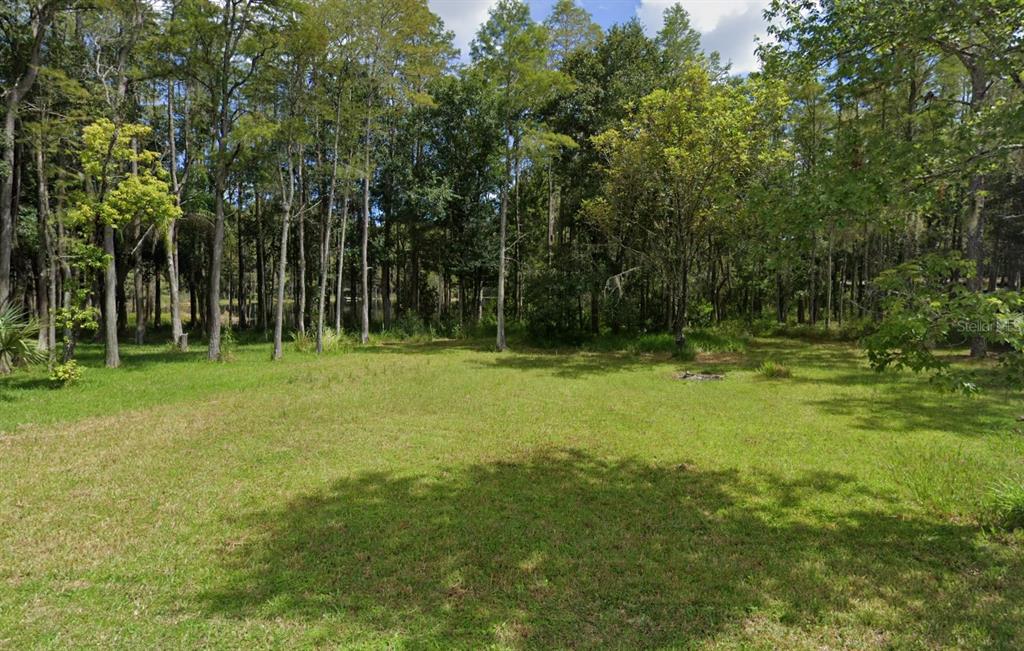 A grassy clearing is surrounded by a dense forest of tall trees under a blue sky — 19832 WESTWOOD LANE, LAND O LAKES, FL