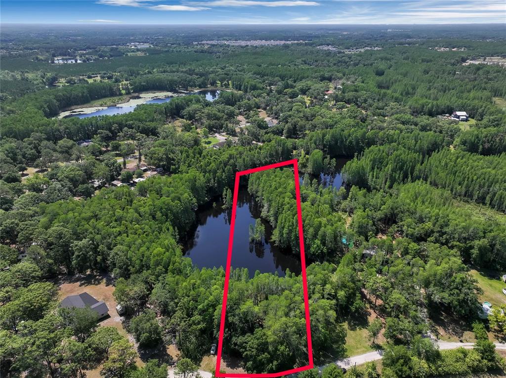An aerial view shows a wooded lot with a pond outlined in red — 19832 WESTWOOD LANE, LAND O LAKES, FL