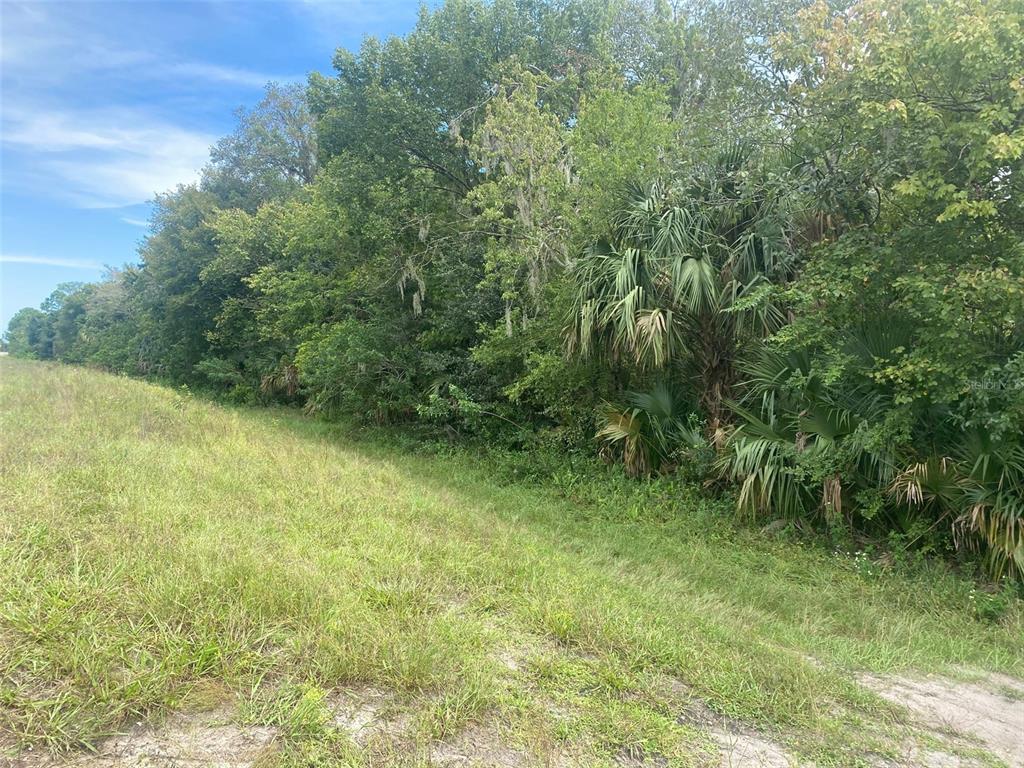 GRISSOM PKWY, COCOA, FL — photo 2 of 5