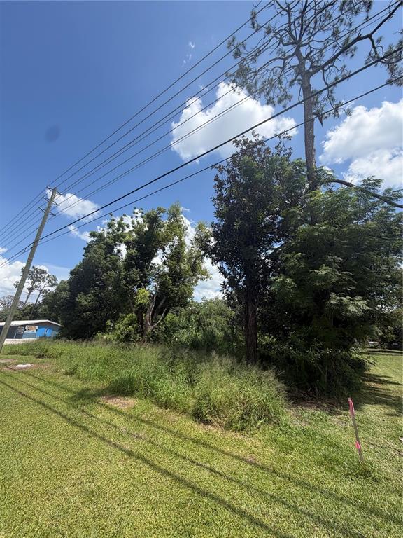 A grassy, undeveloped lot features several mature trees and overhead power lines under a sky — 14435 OAK STREET, GROVELAND, FL