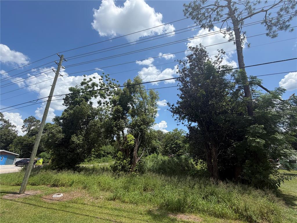 A grassy, overgrown vacant lot features several mature trees and overhead utility lines — 14435 OAK STREET, GROVELAND, FL