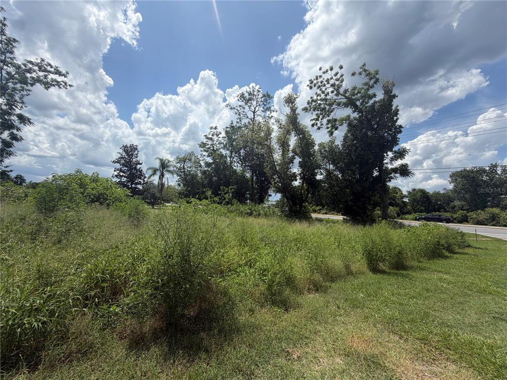 A grassy, overgrown lot features scattered trees and shrubs under a cloudy blue sky — 14435 OAK STREET, GROVELAND, FL