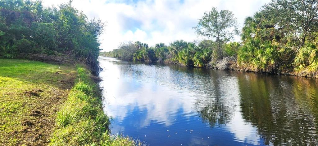 A narrow canal flows between a grassy bank and dense, lush green vegetation — 328 BAYTREE DRIVE, ROTONDA WEST, FL