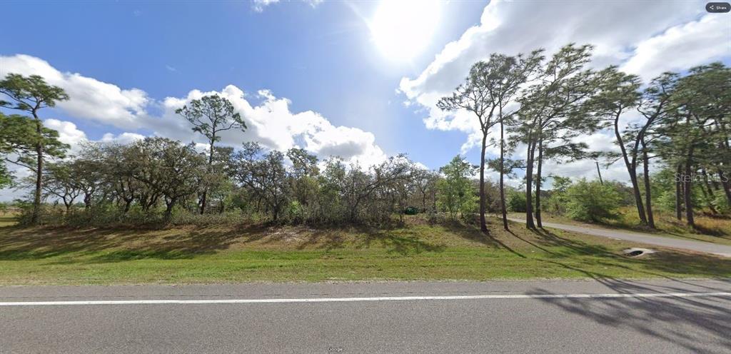 A view of a vacant, wooded lot from the side of a paved road — COMMONWEALTH AVE N, POLK CITY, FL