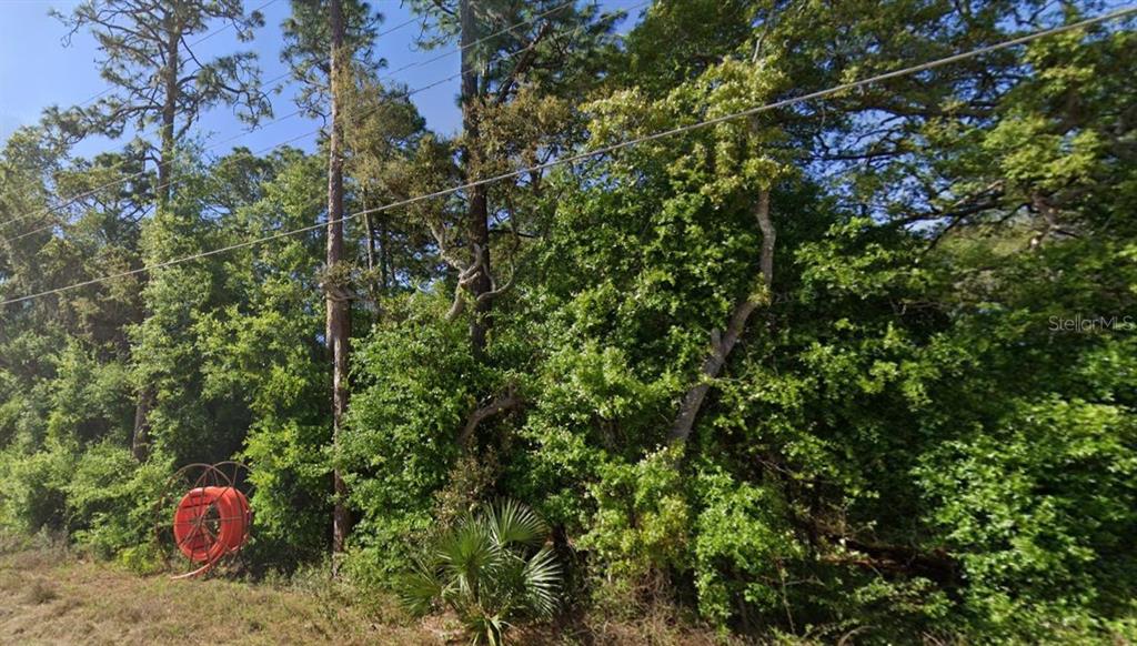 A dense wooded lot features a large orange utility reel resting near the edge — SE 17TH LANE, OCKLAWAHA, FL