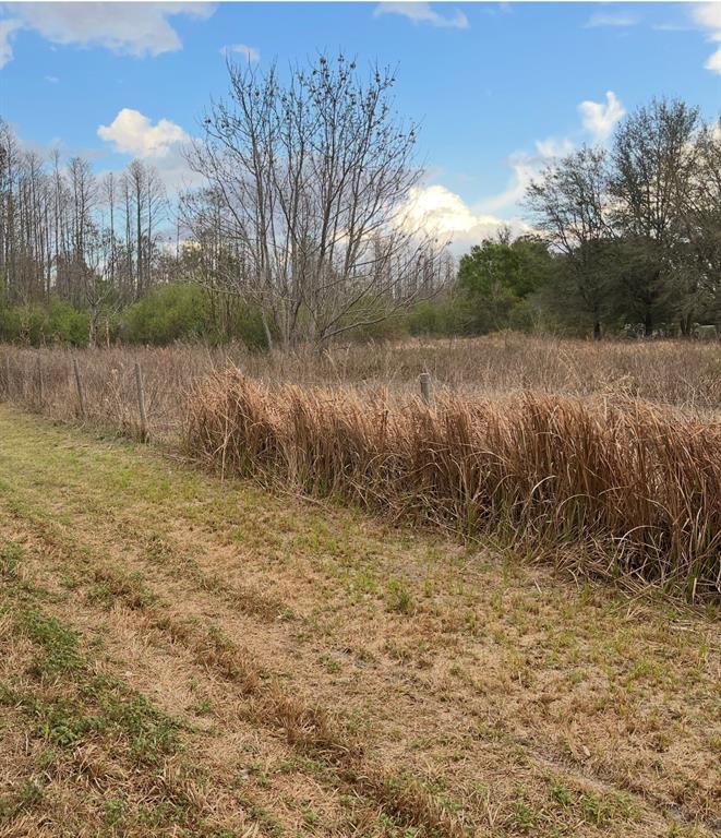 SR-33, CLERMONT, FL — photo 5 of 11