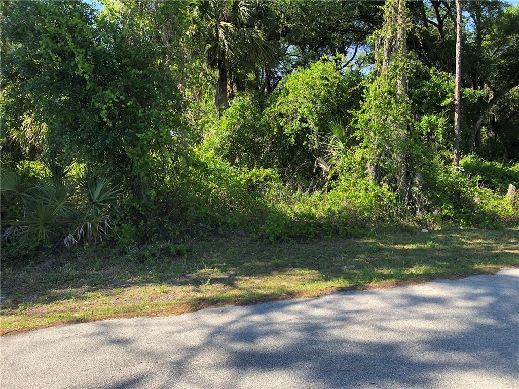 A view of a dense, overgrown wooded lot bordering a paved asphalt road — WILBURN TERRACE, NORTH PORT, FL