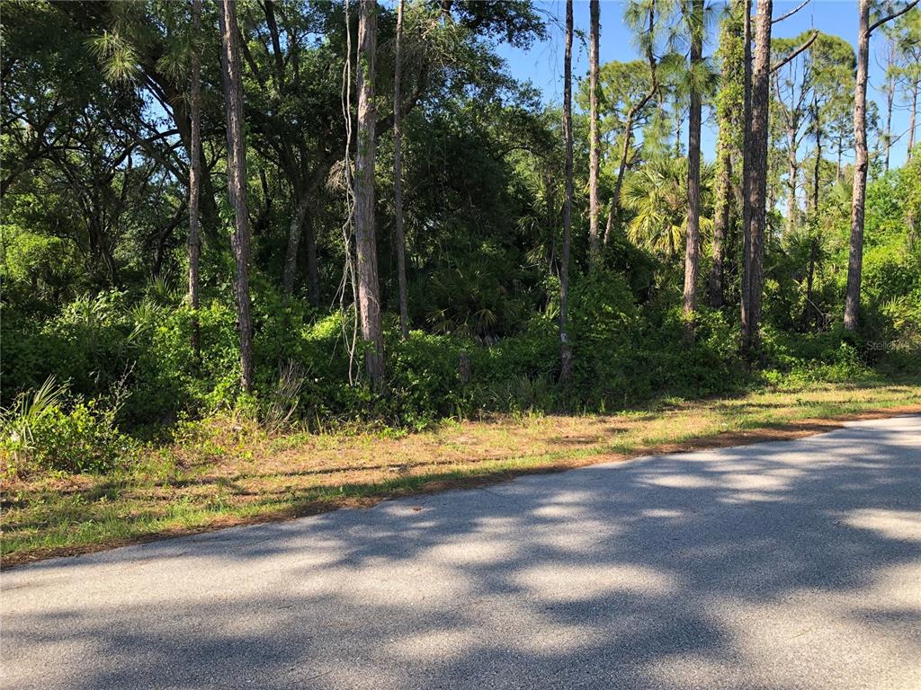 A paved road runs alongside a densely wooded, undeveloped lot with tall pine trees — WILBURN TERRACE, NORTH PORT, FL