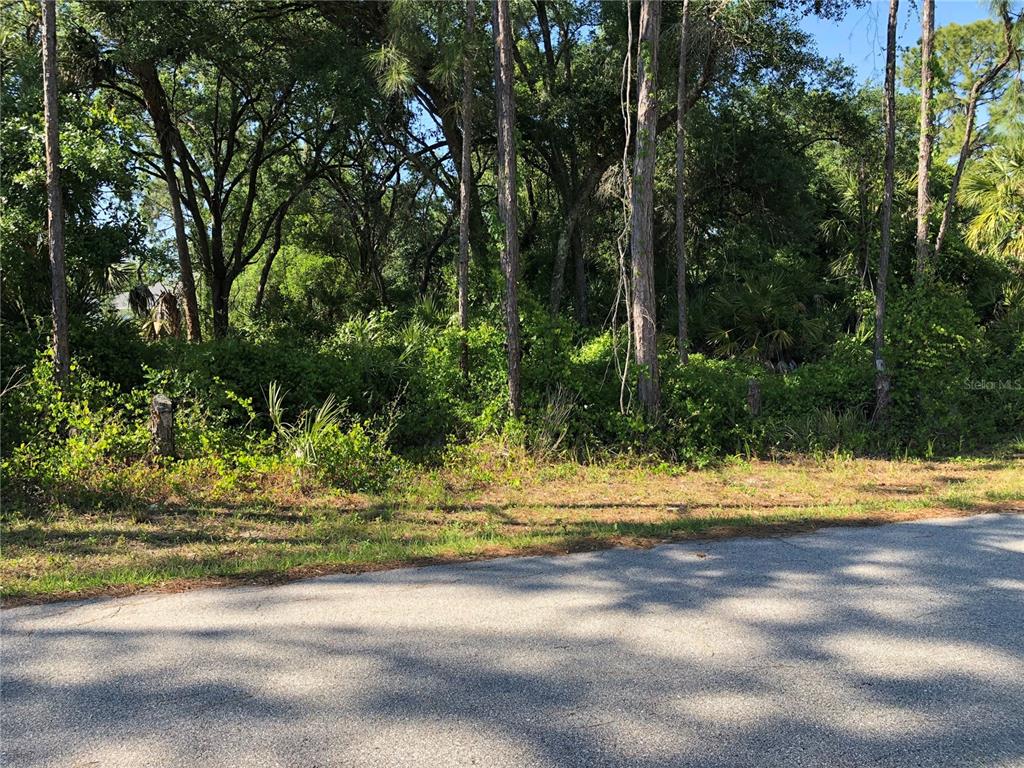 A paved road runs in front of a densely wooded, undeveloped residential lot — WILBURN TERRACE, NORTH PORT, FL