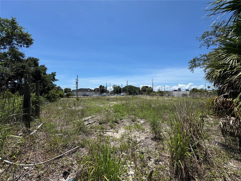 A vacant, grassy lot with scattered vegetation under a clear blue sky — 8725 W WATERS AVENUE, TAMPA, FL