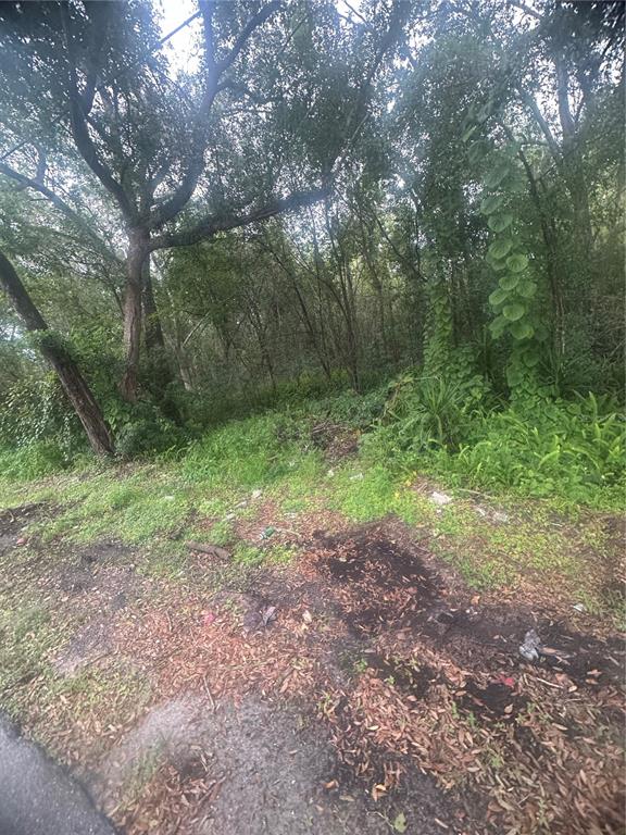 A wooded, undeveloped lot with dense trees, green vegetation, and a patch of dirt ground — 6117 CORNELIA AVENUE, ORLANDO, FL