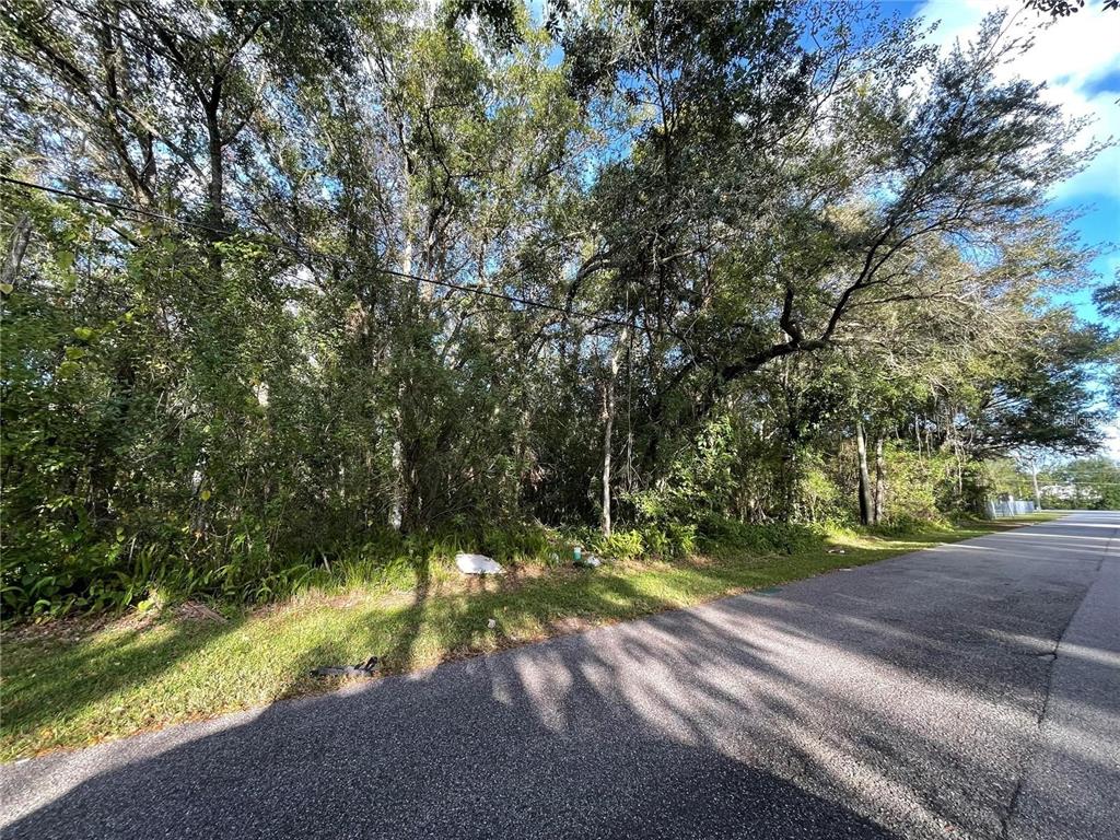 A paved road runs alongside a densely wooded, undeveloped residential lot — 6117 CORNELIA AVENUE, ORLANDO, FL