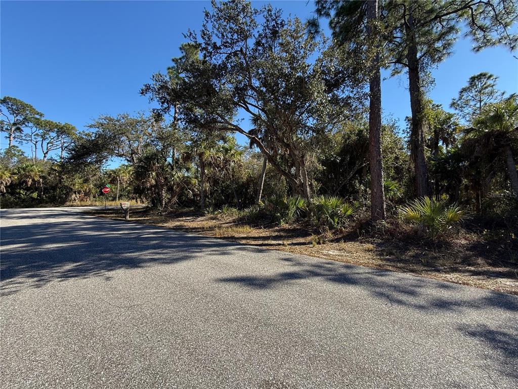A paved road leads to a wooded, undeveloped lot with various trees and palms — 163 STATLER STREET, PORT CHARLOTTE, FL