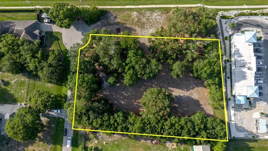 17380 RIVERSTONE DRIVE, LUTZ, FL — photo 5 of 30