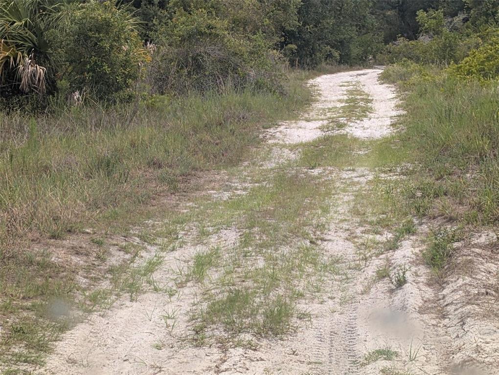 A sandy, unpaved path winds through a grassy, wooded area — 2345 DIPLOMAT DRIVE, PUNTA GORDA, FL