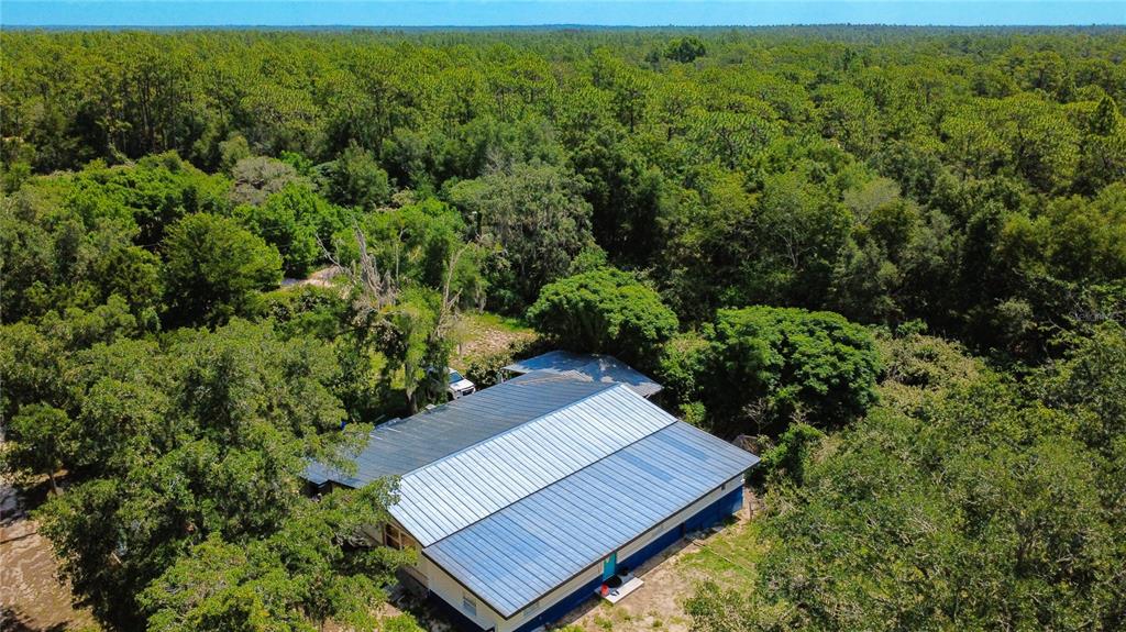 An aerial view shows a house with a metal roof surrounded by dense forest — 13300 SW 91ST PLACE, DUNNELLON, FL