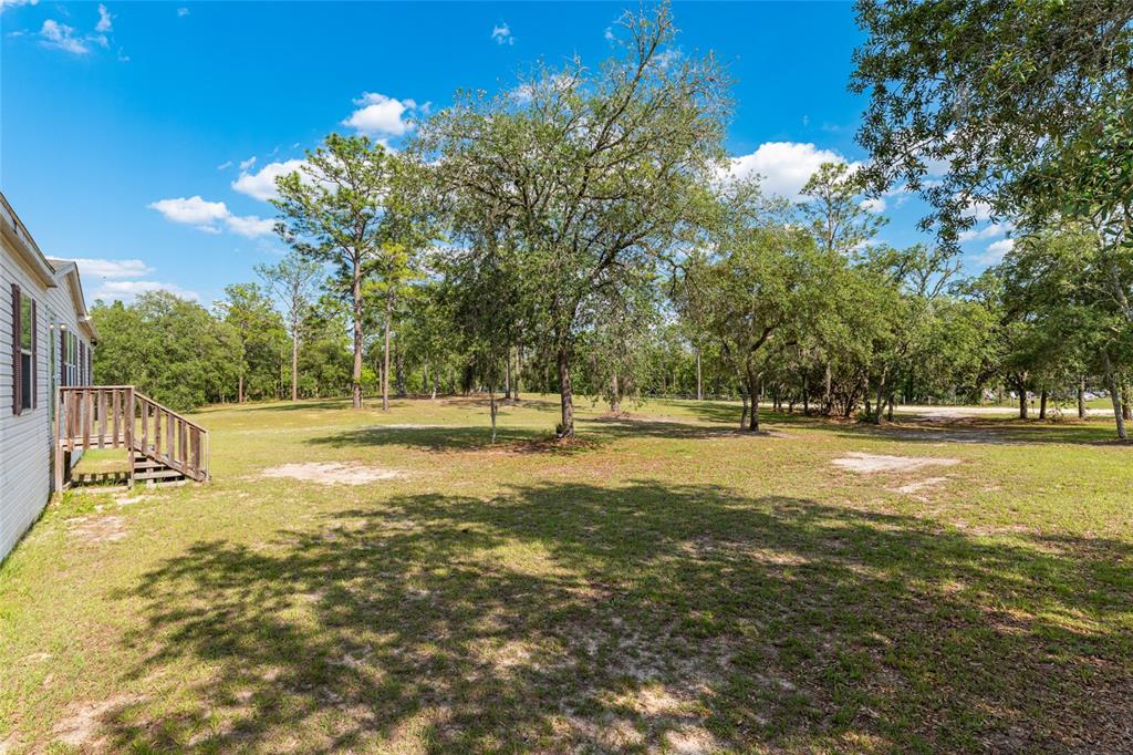 A grassy backyard with scattered trees and a wooden staircase attached to a house — 14671 SE 5TH PLACE, WILLISTON, FL