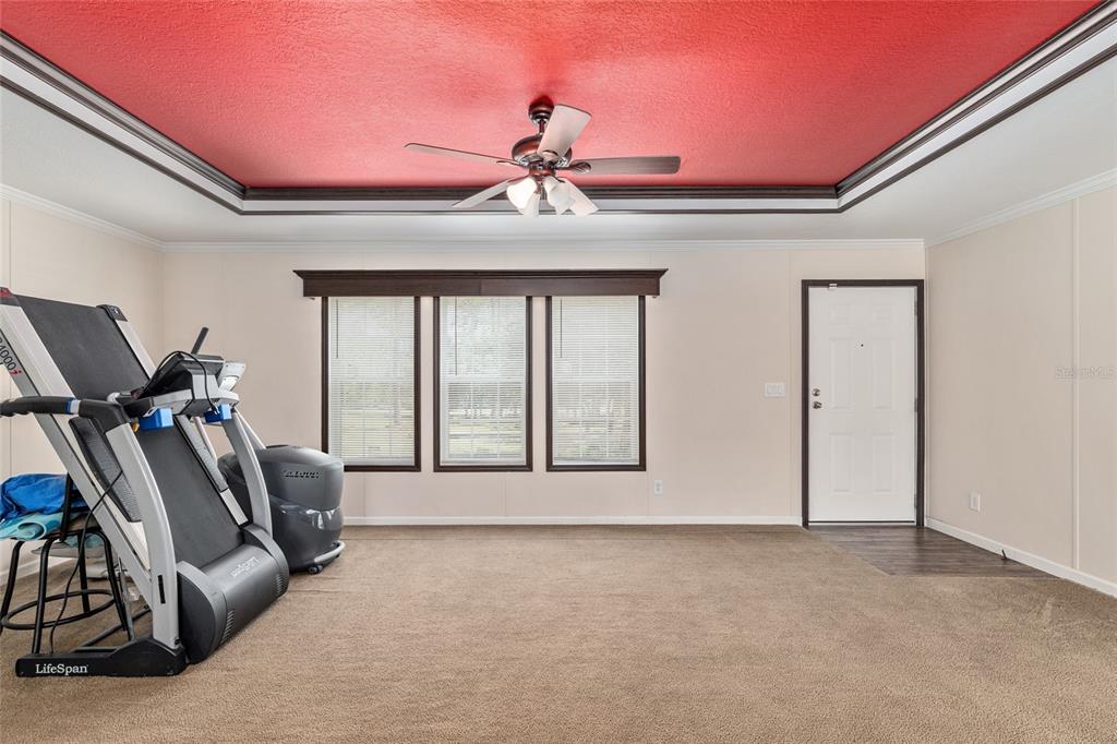 A room with beige walls, brown carpet, and a red tray ceiling with a fan — 14671 SE 5TH PLACE, WILLISTON, FL