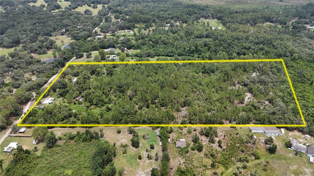 An aerial view shows a large, rectangular plot of wooded land outlined in yellow — 40546 COUGARS COVE, LEESBURG, FL