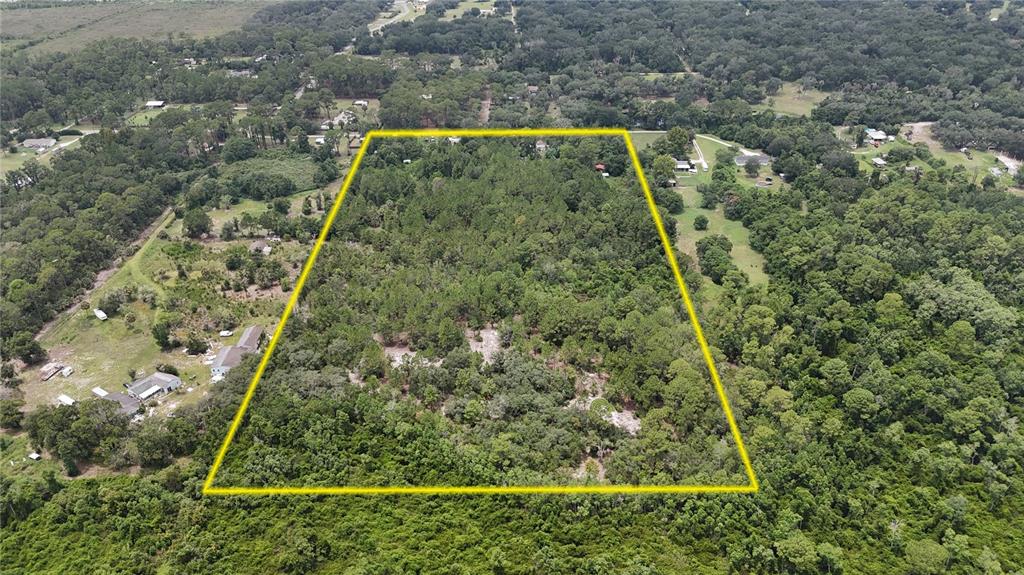 An aerial view shows a rectangular plot of land outlined in yellow amidst wooded surroundings — 40546 COUGARS COVE, LEESBURG, FL