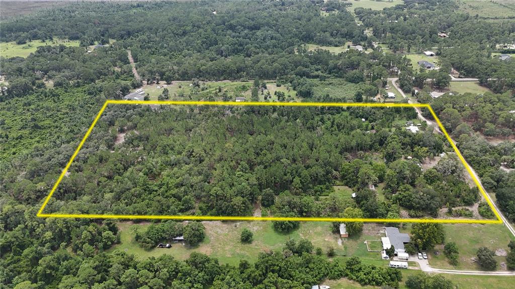 An aerial view shows a large, rectangular plot of wooded land outlined in yellow — 40546 COUGARS COVE, LEESBURG, FL