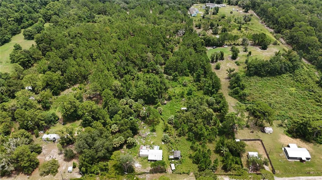 An aerial view shows several small houses and outbuildings scattered across a wooded, rural lot — 40546 COUGARS COVE, LEESBURG, FL
