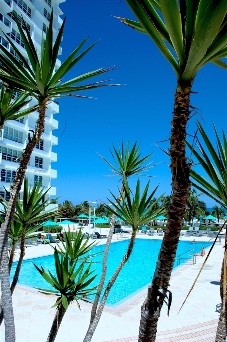 A swimming pool is surrounded by palm trees and a tall white apartment building — 100 Lincoln Rd # 303, Miami Beach FL 33139, MIAMI BEACH, FL