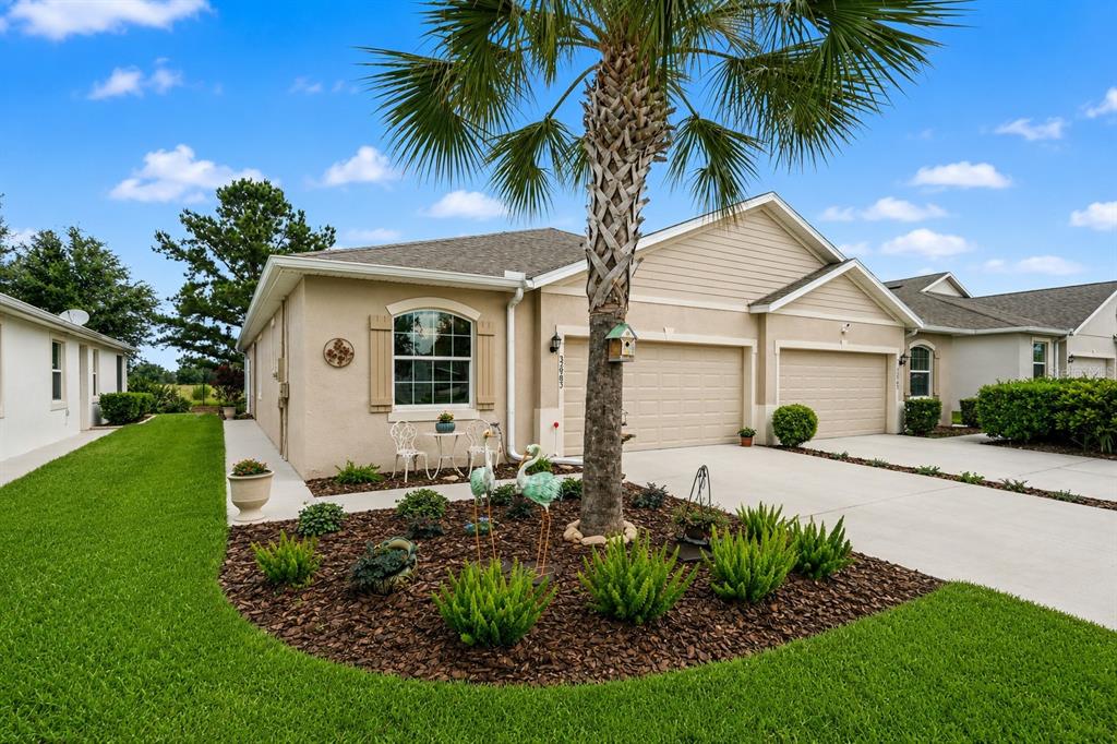A single-story beige house with a two-car garage, a palm tree, and a landscaped yard — 32983 WINDELSTRAW DRIVE, WESLEY CHAPEL, FL