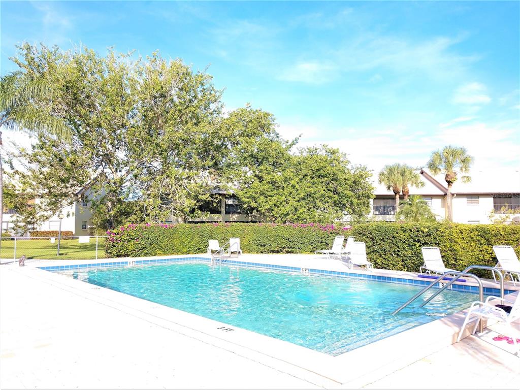 An outdoor swimming pool surrounded by a concrete deck, lounge chairs, and a green hedge — 400 MISSION TRAIL E UNIT B, VENICE, FL