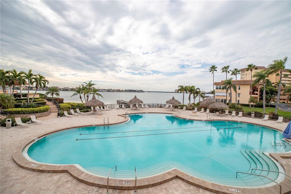 A swimming pool with lounge chairs and palm trees overlooks a large body of water — 5108 BRITTANY DRIVE S UNIT 908, ST PETERSBURG, FL