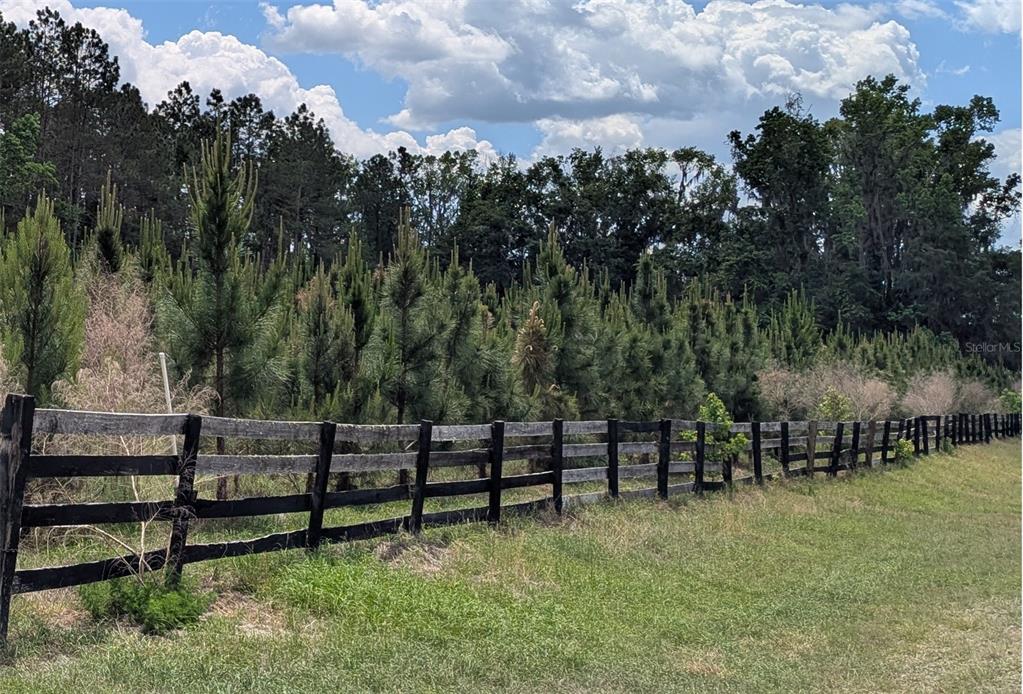 A wooden fence runs along a grassy field in front of a dense pine forest — TBD NW 71ST TERRACE, GAINESVILLE, FL