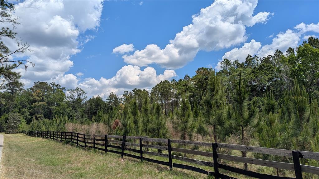 A wooden fence borders a grassy field with young pine trees and a forest background — TBD NW 71ST TERRACE, GAINESVILLE, FL