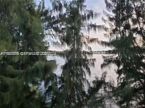 A view of a lake framed by tall, thin trees — 468 NE 206th Ln # 107, Miami FL 33179, MIAMI, FL