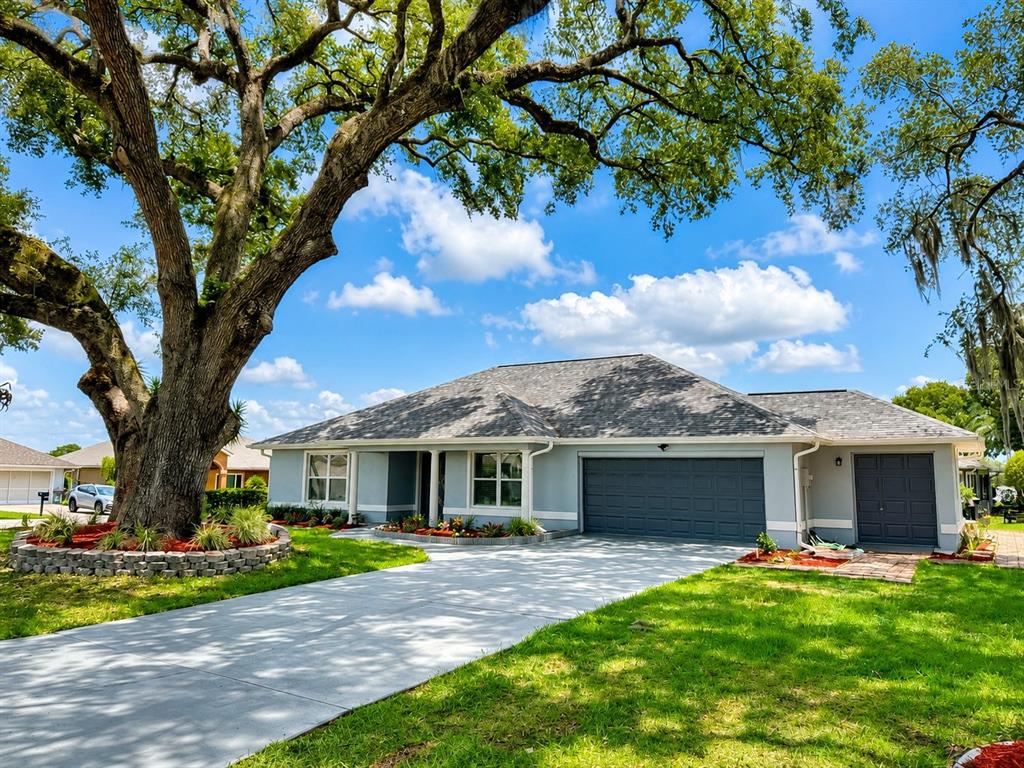 A single-story house with a gray exterior, a two-car garage, and a large oak tree — 11584 SE 175TH STREET, SUMMERFIELD, FL