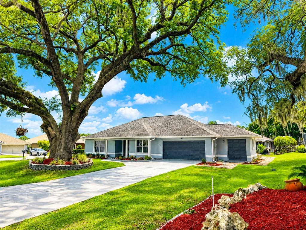 A single-story house with a gray exterior, a large oak tree, and a concrete driveway — 11584 SE 175TH STREET, SUMMERFIELD, FL