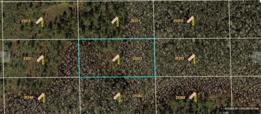 This is an aerial map showing a highlighted rectangular parcel of land among surrounding lots — DILL ROAD, ORLANDO, FL