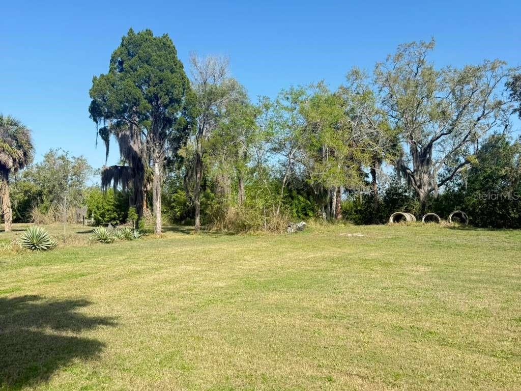 A grassy field extends toward a line of trees with hanging Spanish moss — 4858 TROYDALE ROAD, TAMPA, FL