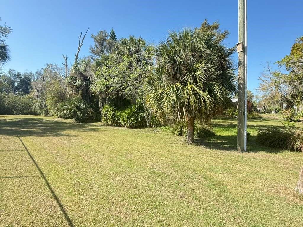 A grassy yard features a large palm tree and a utility pole under a clear sky — 4858 TROYDALE ROAD, TAMPA, FL