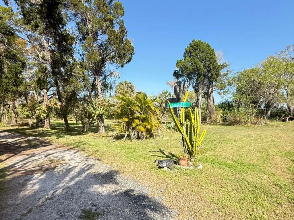 A dirt path leads to a grassy lot with trees, a cactus, and a street sign — 4858 TROYDALE ROAD, TAMPA, FL