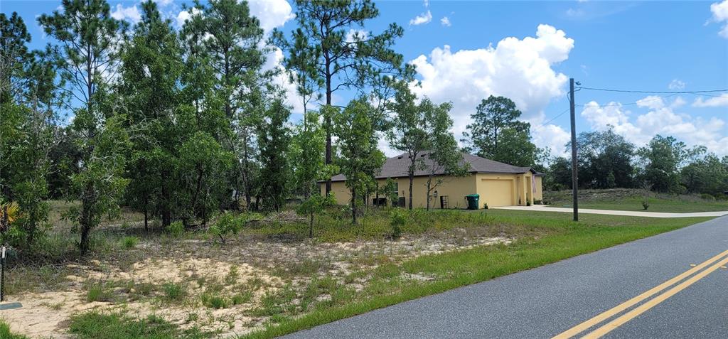 A single-story yellow house sits on a grassy lot next to a paved road — 10339 N G MARTINELLI BOULEVARD, CITRUS SPRINGS, FL