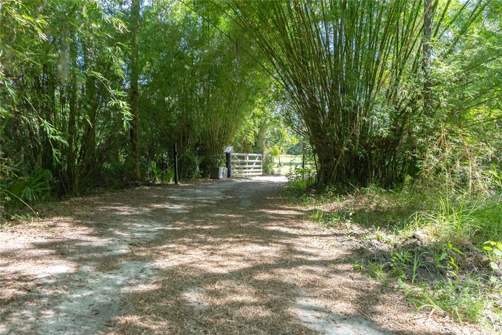 A dirt path leads through a bamboo grove to a white gate — 776 MAYTOWN ROAD, OAK HILL, FL
