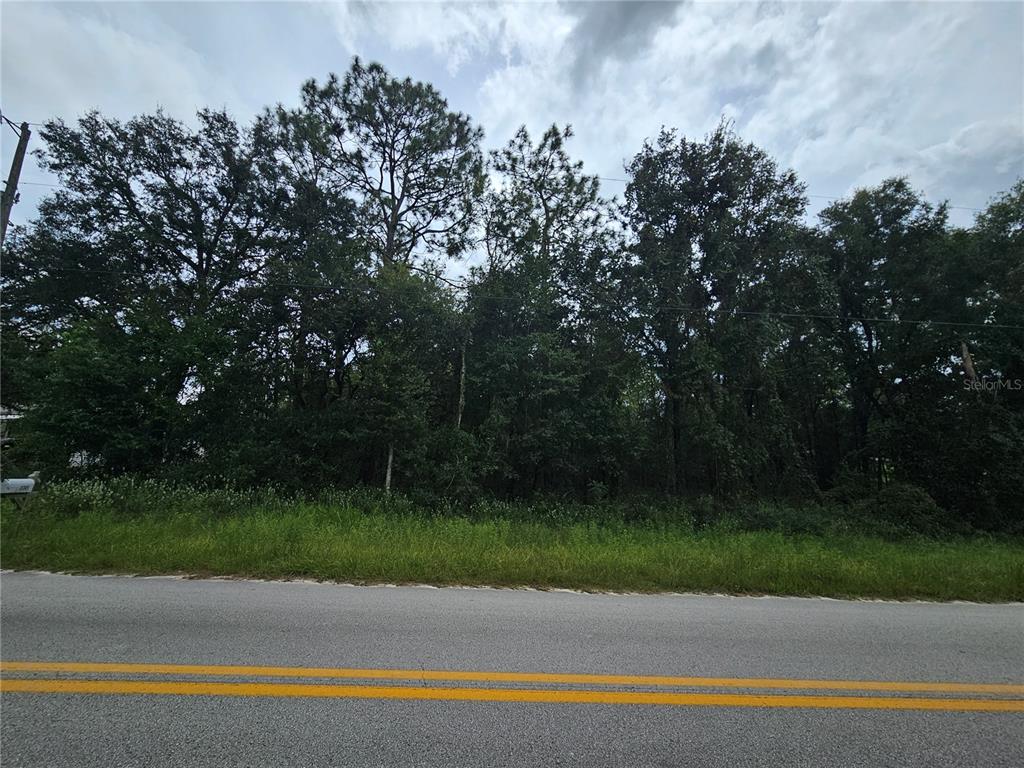 9830 NE 65TH LANE, BRONSON, FL — photo 3 of 4