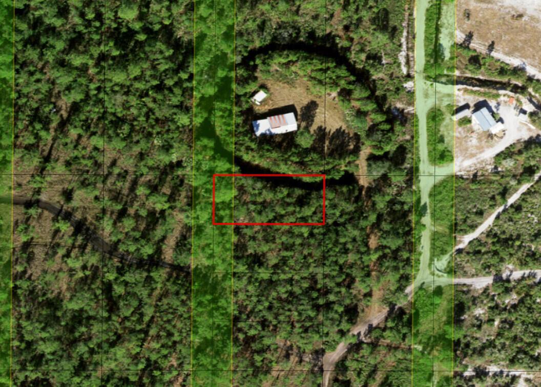 An aerial view shows a wooded lot with a red rectangle highlighting a specific area — 0 Holopaw Groves Road, FL 34772, FL
