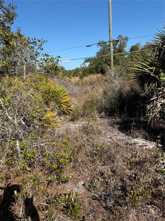 A view of a sandy, overgrown lot with native shrubs, palmettos, and a utility pole — 1507 JACOBS STREET, PORT CHARLOTTE, FL