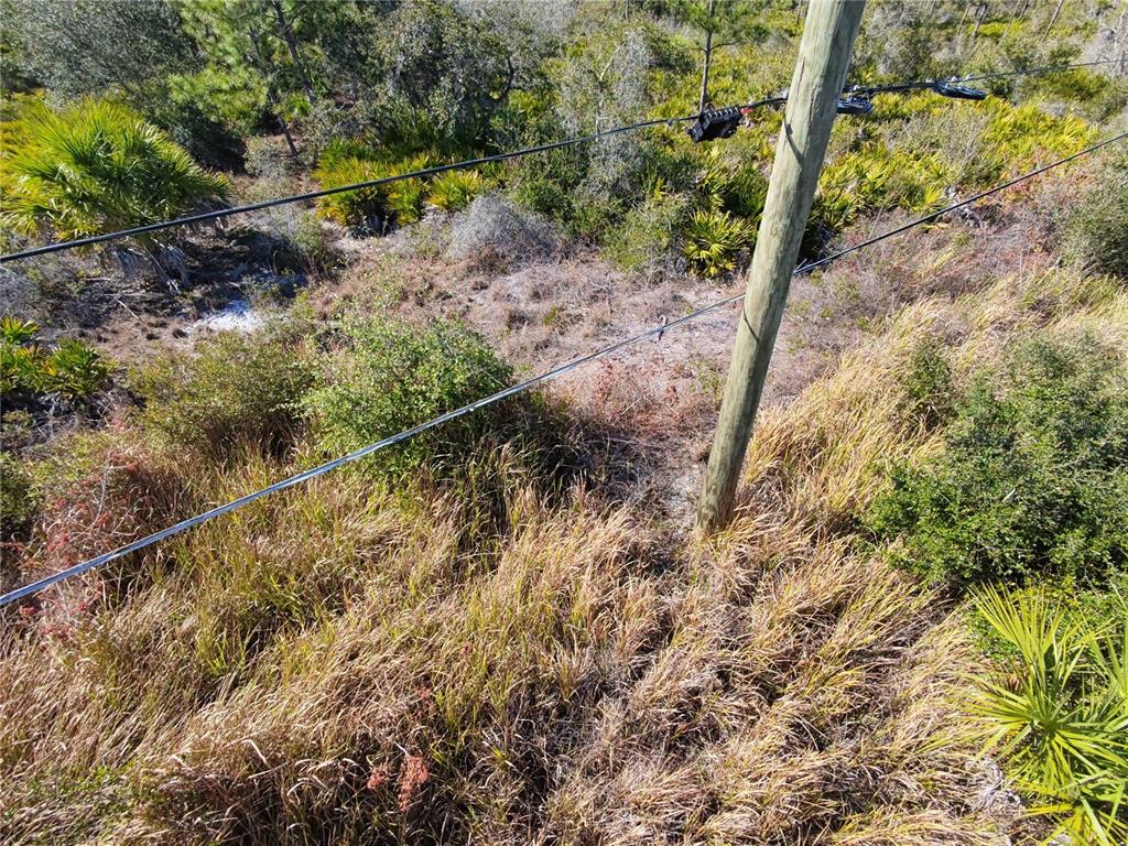 An elevated view shows a utility pole and power lines over a grassy, wooded lot — 1507 JACOBS STREET, PORT CHARLOTTE, FL